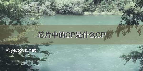 芯片中的CP是什么CP