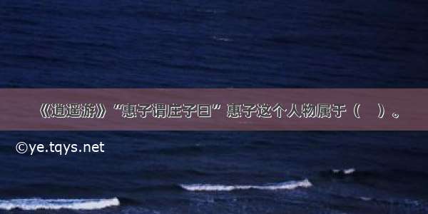 《逍遥游》“惠子谓庄子曰” 惠子这个人物属于（　）。