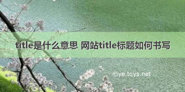 title是什么意思 网站title标题如何书写