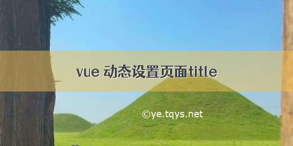 vue 动态设置页面title