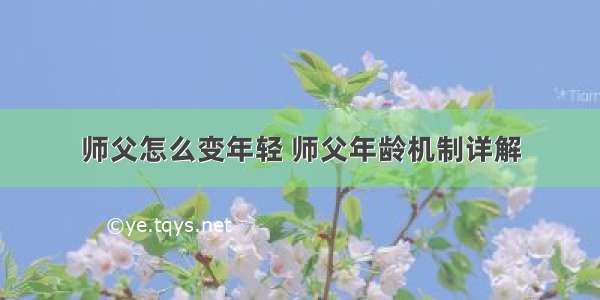 师父怎么变年轻 师父年龄机制详解