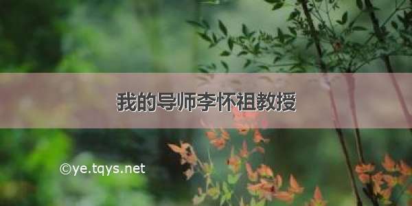 我的导师李怀祖教授