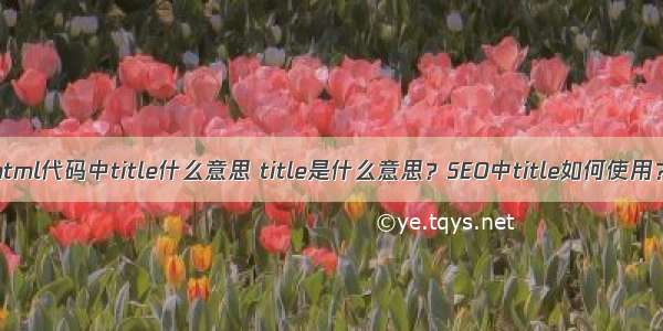 html代码中title什么意思 title是什么意思？SEO中title如何使用？