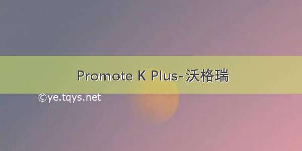 Promote K Plus-沃格瑞