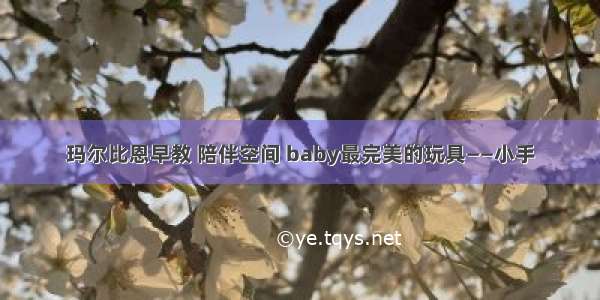 玛尔比恩早教 陪伴空间 baby最完美的玩具——小手