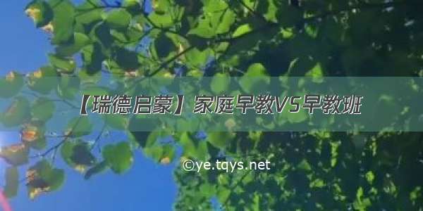 【瑞德启蒙】家庭早教VS早教班