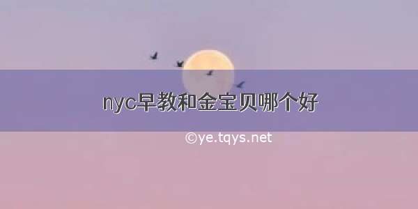 nyc早教和金宝贝哪个好