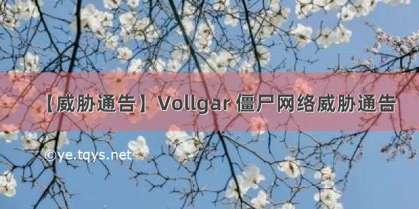 【威胁通告】Vollgar 僵尸网络威胁通告