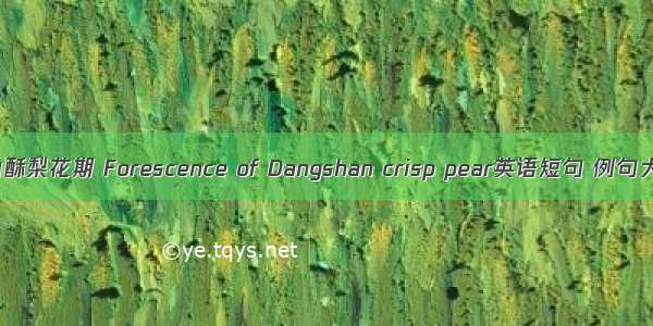 砀山酥梨花期 Forescence of Dangshan crisp pear英语短句 例句大全