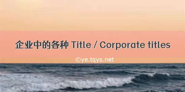 企业中的各种 Title / Corporate titles