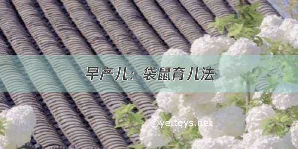 早产儿：袋鼠育儿法