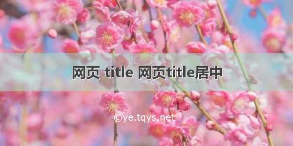 网页 title 网页title居中