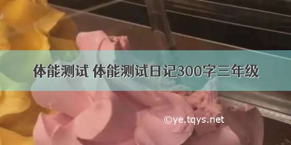 体能测试 体能测试日记300字三年级