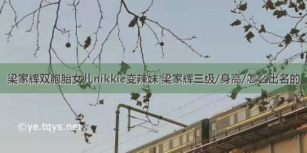 梁家辉双胞胎女儿nikkie变辣妹 梁家辉三级/身高/怎么出名的