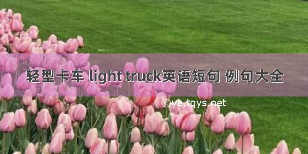 轻型卡车 light truck英语短句 例句大全
