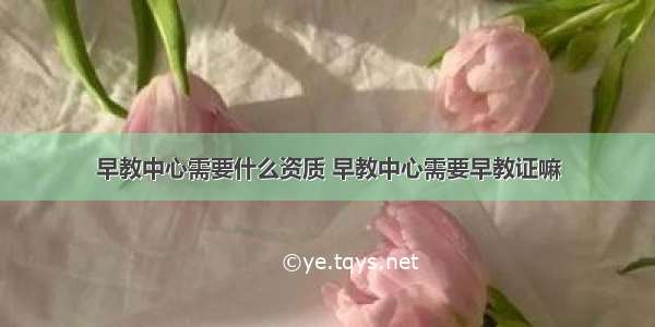 早教中心需要什么资质 早教中心需要早教证嘛