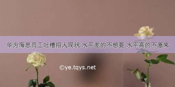 华为海思员工吐槽招人现状 水平差的不想要 水平高的不愿来