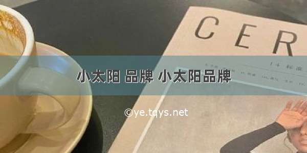 小太阳 品牌 小太阳品牌