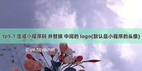 tp5.1 生成小程序码 并替换 中间的 logo(默认是小程序的头像)