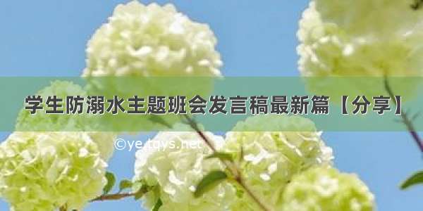 学生防溺水主题班会发言稿最新篇【分享】