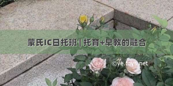 蒙氏IC日托班 | 托育+早教的融合