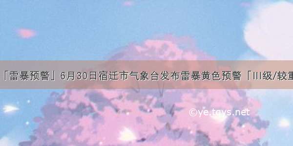 「雷暴预警」6月30日宿迁市气象台发布雷暴黄色预警「Ⅲ级/较重」