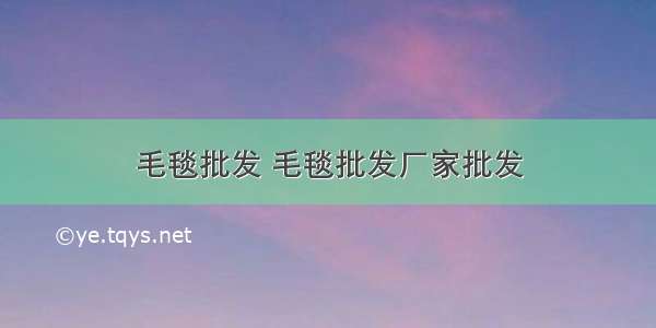 毛毯批发 毛毯批发厂家批发