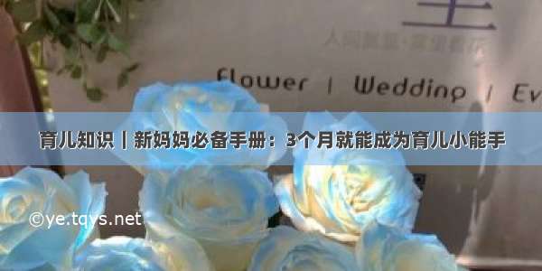 育儿知识｜新妈妈必备手册：3个月就能成为育儿小能手