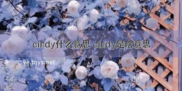 cindy什么意思 cindy是啥意思