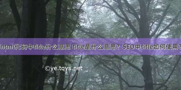 html代码中title什么意思 title是什么意思？SEO中title如何使用？