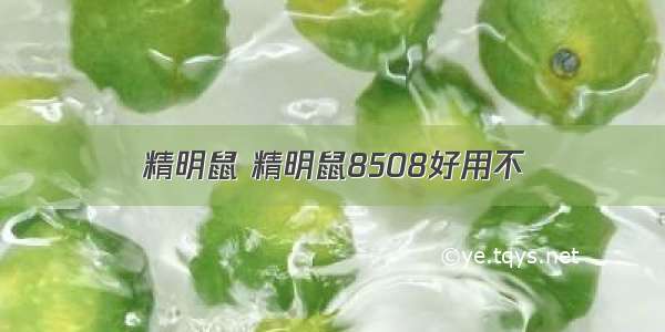 精明鼠 精明鼠8508好用不