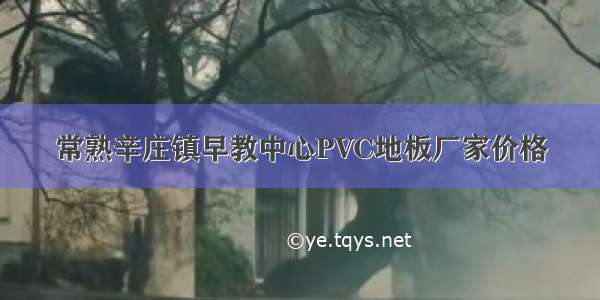 常熟辛庄镇早教中心PVC地板厂家价格