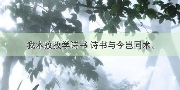 我本孜孜学诗书 诗书与今岂同术。