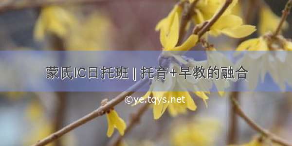 蒙氏IC日托班 | 托育+早教的融合