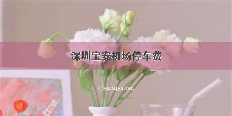 深圳宝安机场停车费