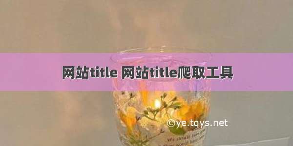 网站title 网站title爬取工具