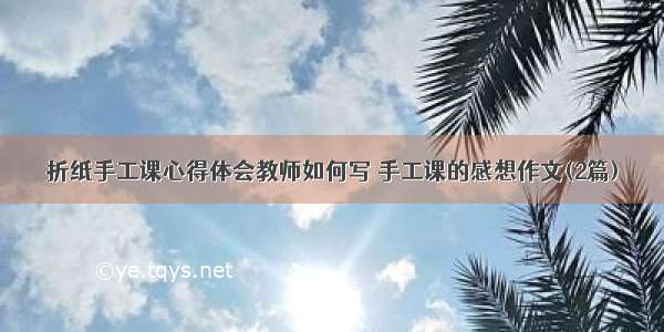 折纸手工课心得体会教师如何写 手工课的感想作文(2篇)