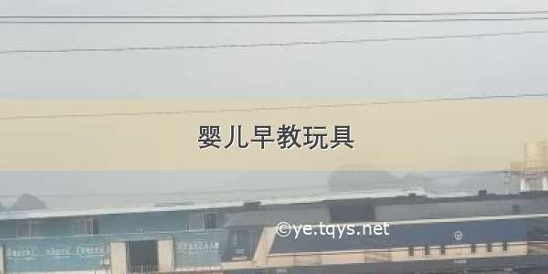 婴儿早教玩具