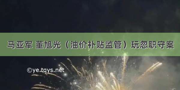 马亚军 董旭光（油价补贴监管）玩忽职守案