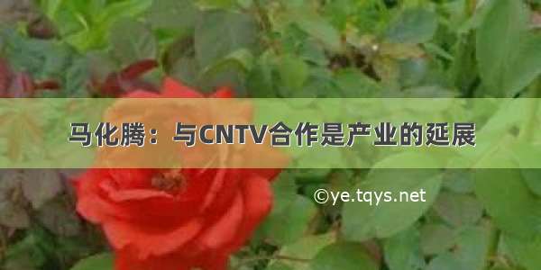 马化腾：与CNTV合作是产业的延展