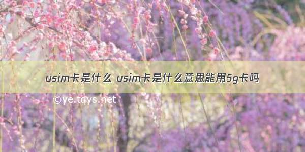 usim卡是什么 usim卡是什么意思能用5g卡吗