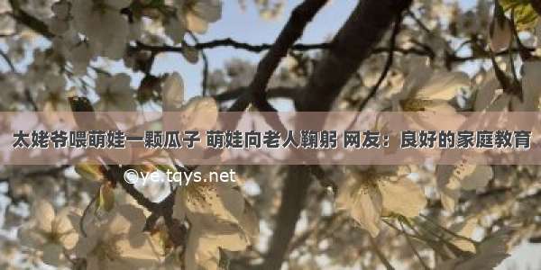 太姥爷喂萌娃一颗瓜子 萌娃向老人鞠躬 网友：良好的家庭教育