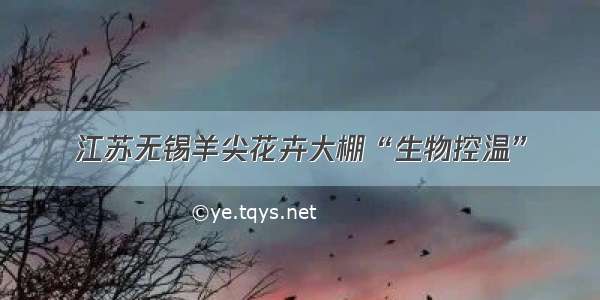 江苏无锡羊尖花卉大棚“生物控温”