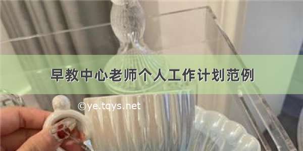 早教中心老师个人工作计划范例