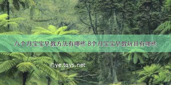 八个月宝宝早教方法有哪些 8个月宝宝早教玩具有哪些