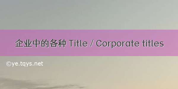 企业中的各种 Title / Corporate titles