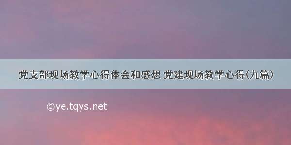 党支部现场教学心得体会和感想 党建现场教学心得(九篇)