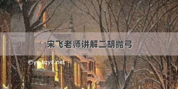 宋飞老师讲解二胡抛弓