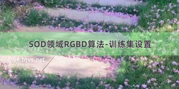 SOD领域RGBD算法-训练集设置