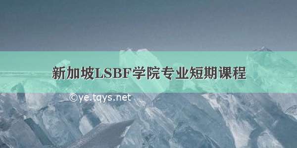 新加坡LSBF学院专业短期课程